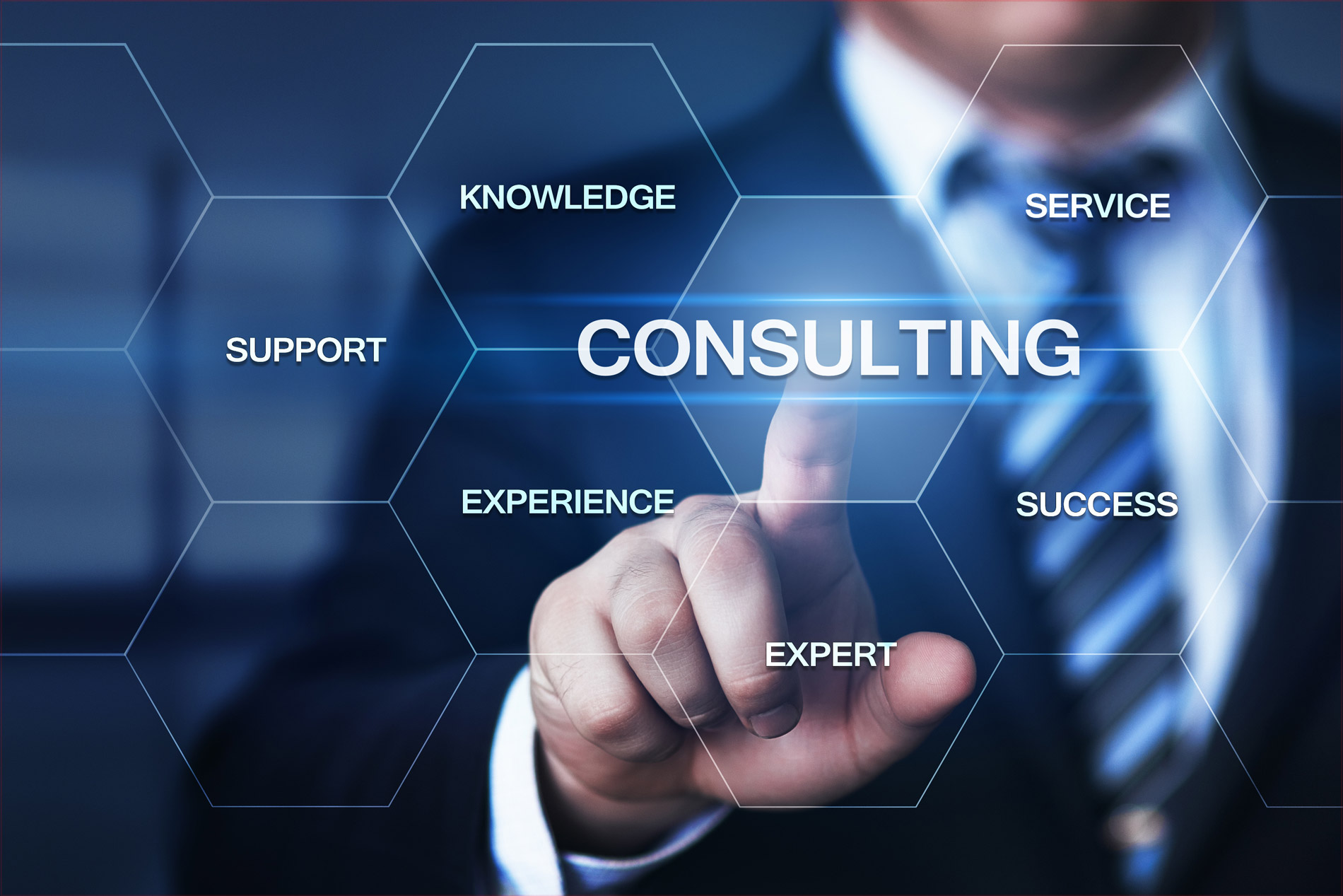 Security Consulting